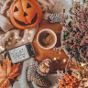 Meet your Posher, Kylie